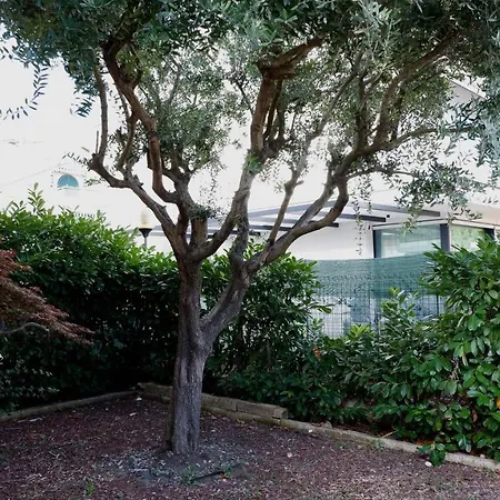App4rent - Equilio - Pet Friendly - Giardino Esclusivo
